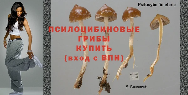 меф Мегион