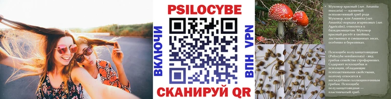 Галлюциногенные грибы Cubensis  Томмот 